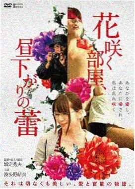 阳光灿烂的日子 国产精品第一区